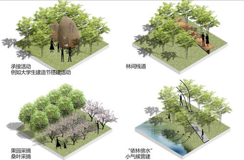 城市公园设计出川西恬静的乡村景色 重庆大学团队获一等奖